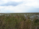 dsc00628